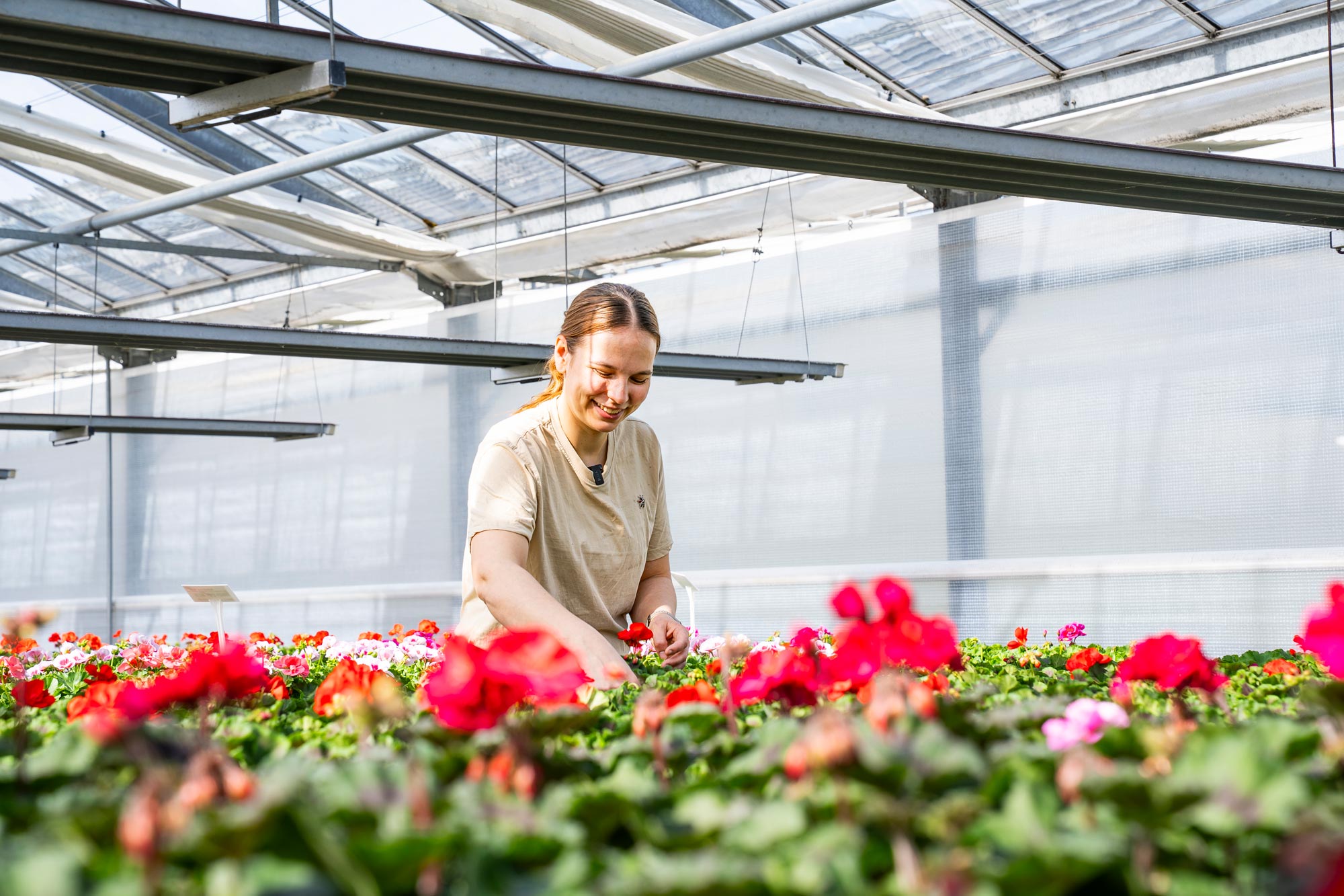 mannheim schwahn menu